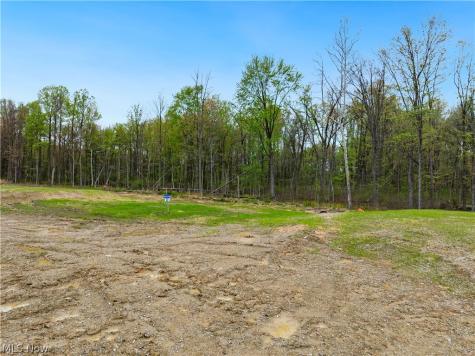 9533 River Birch Run Brecksville OH 44141
