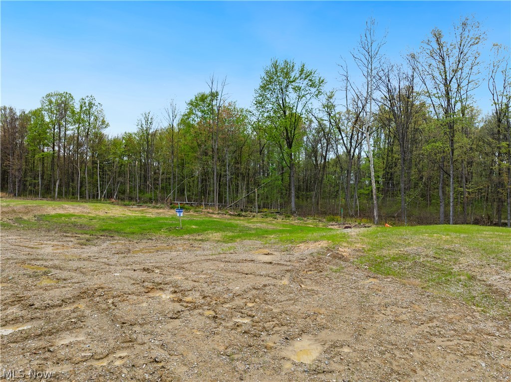 9533 River Birch Run Brecksville OH 44141