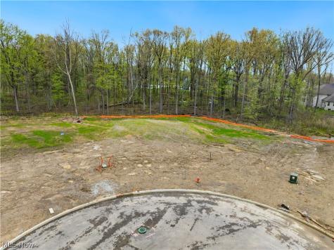 9533 River Birch Run Brecksville OH 44141