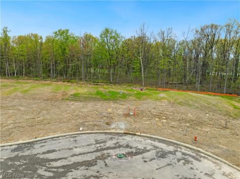 9533 River Birch Run Brecksville OH 44141