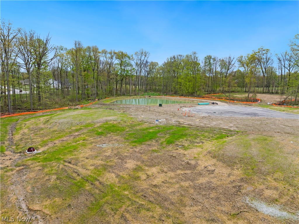 9533 River Birch Run Brecksville OH 44141