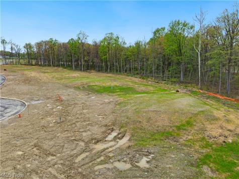 9533 River Birch Run Brecksville OH 44141