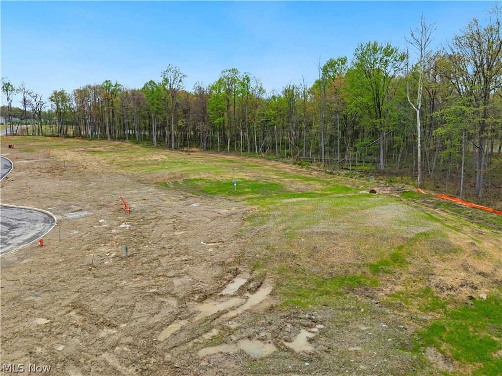 9533 River Birch Run Brecksville OH 44141