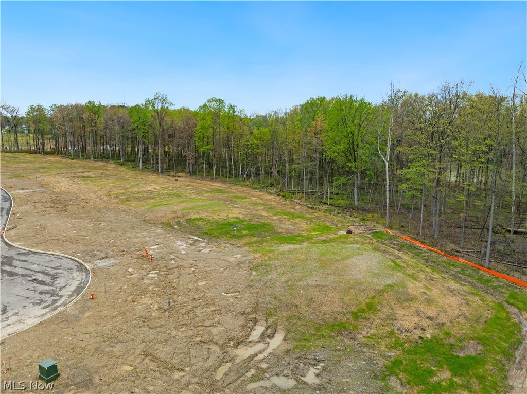 9533 River Birch Run Brecksville OH 44141