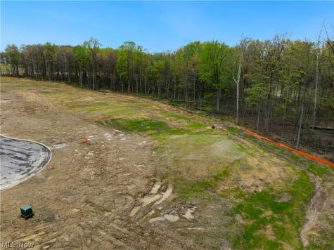 9533 River Birch Run Brecksville OH 44141
