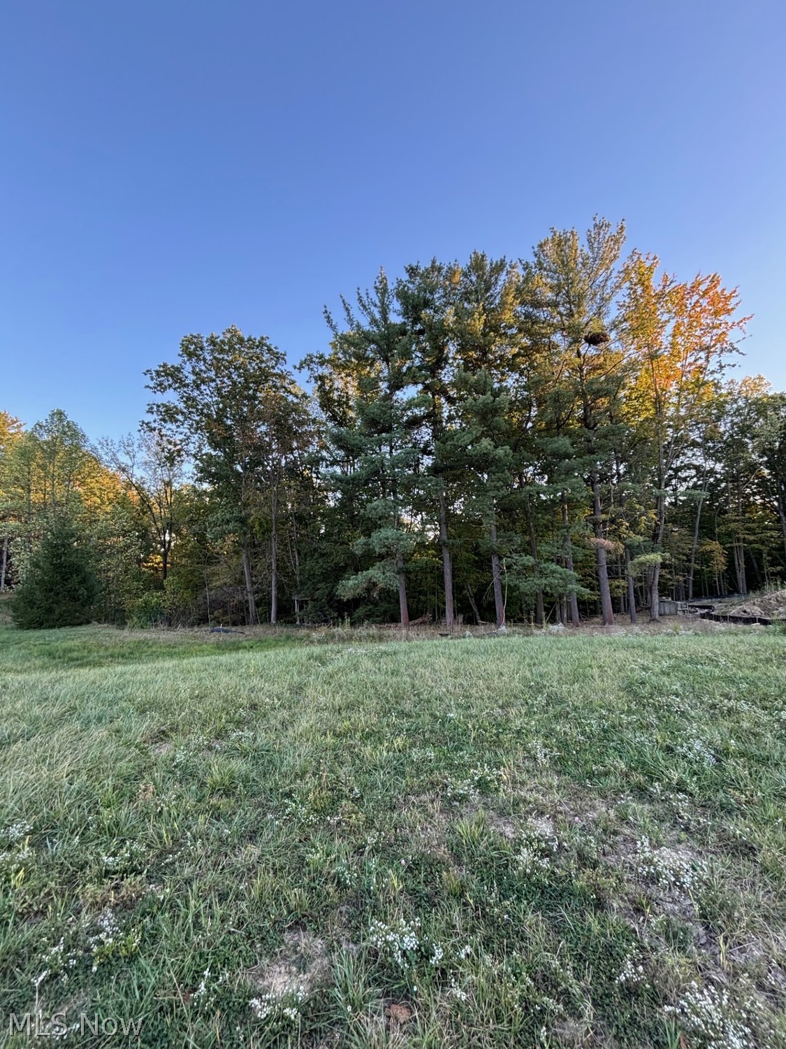 8801 Glen Hallow Broadview Heights OH 44147