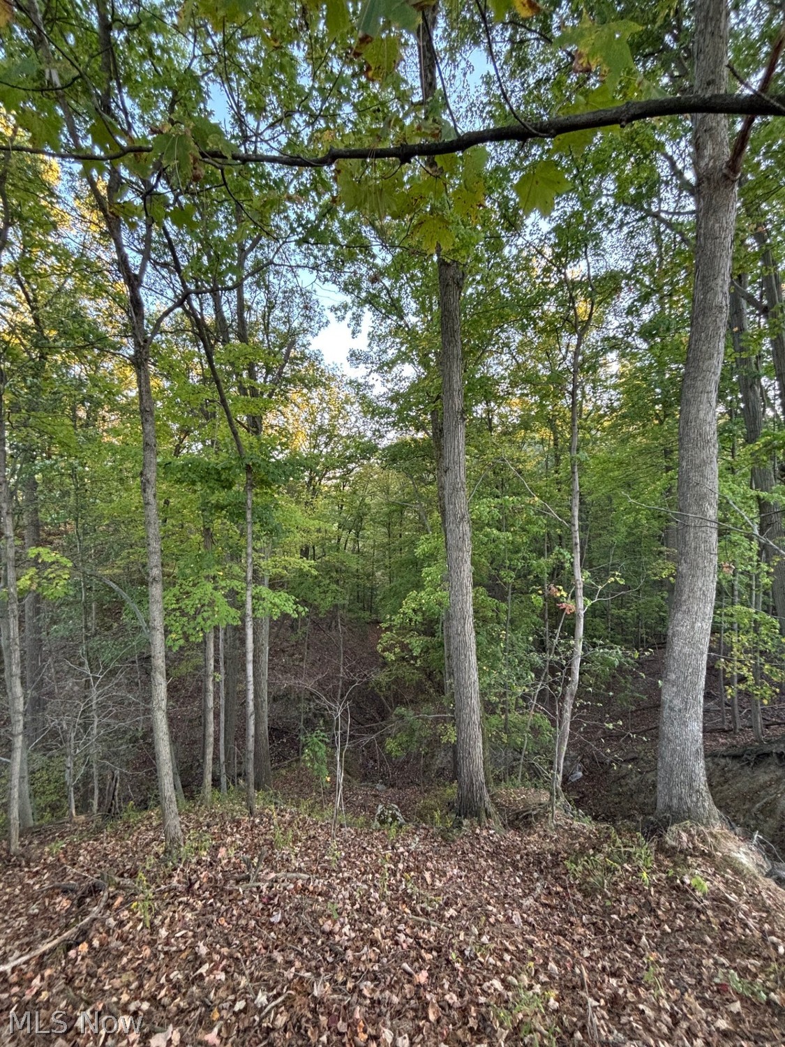 8801 Glen Hallow Broadview Heights OH 44147