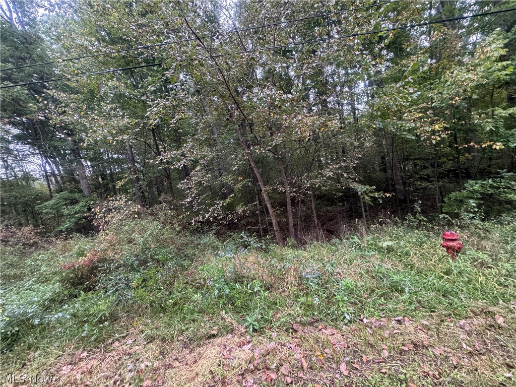 48250 Dyke Road Negley OH 44441