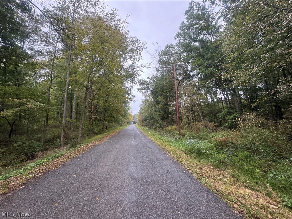 48250 Dyke Road Negley OH 44441