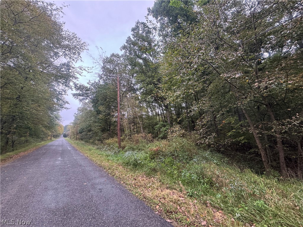 48250 Dyke Road Negley OH 44441