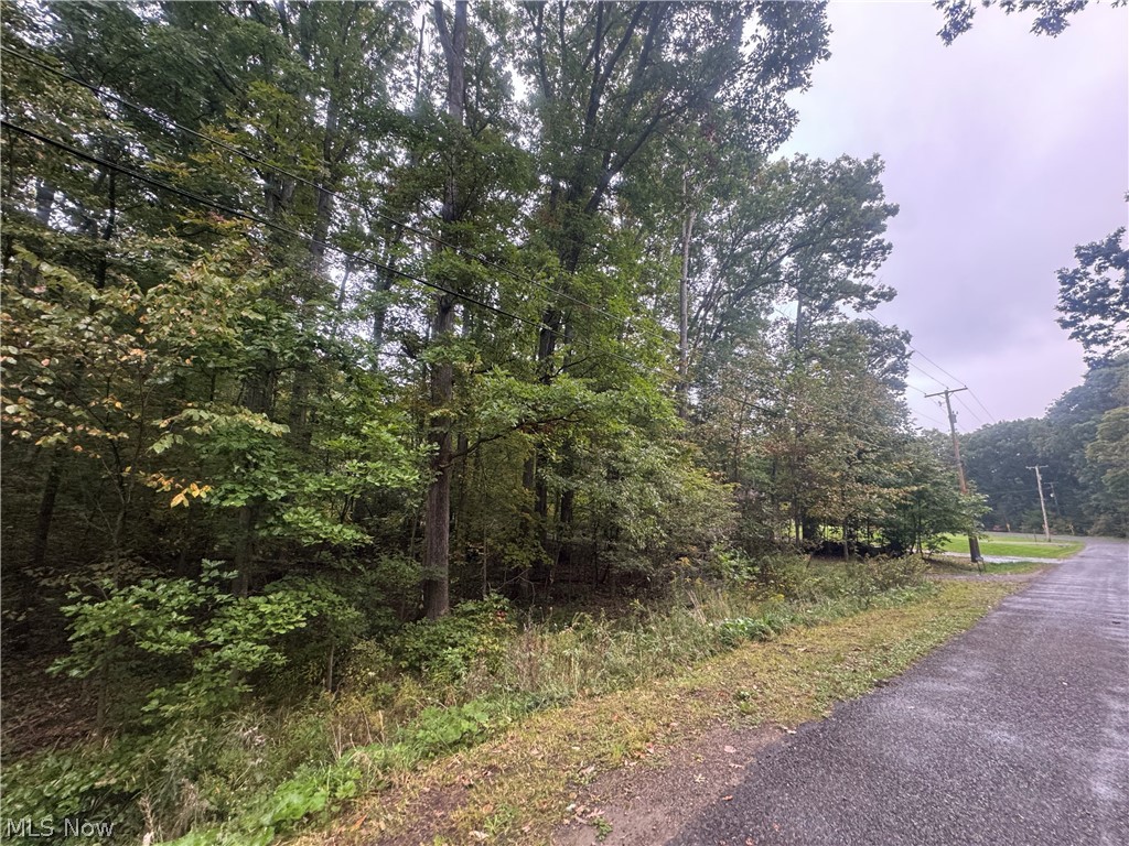 48250 Dyke Road Negley OH 44441