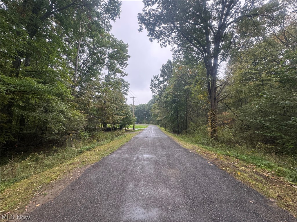 48250 Dyke Road Negley OH 44441