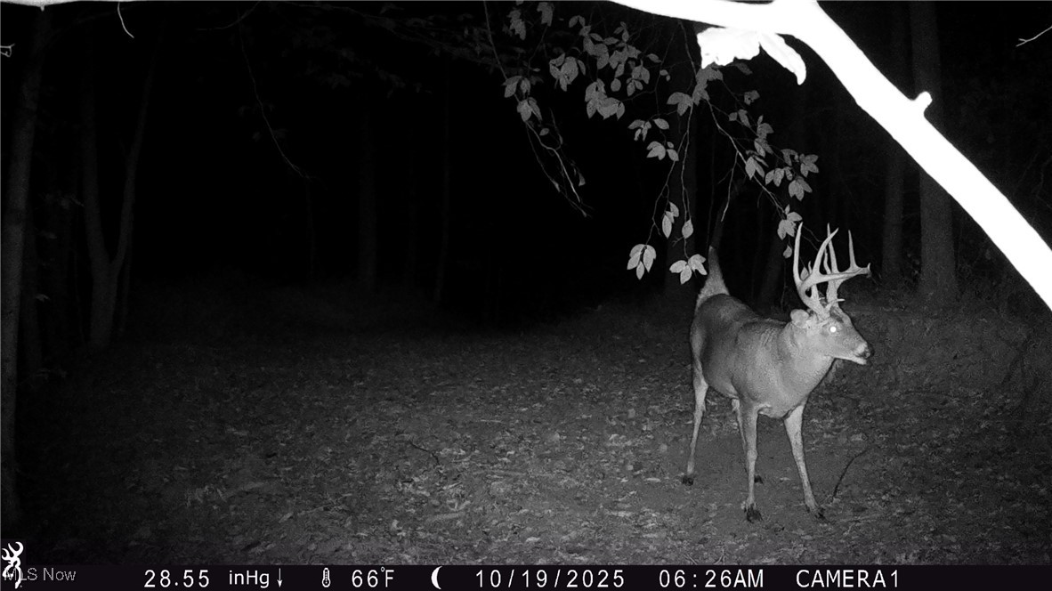 Perl Road Chandlersville OH 43727