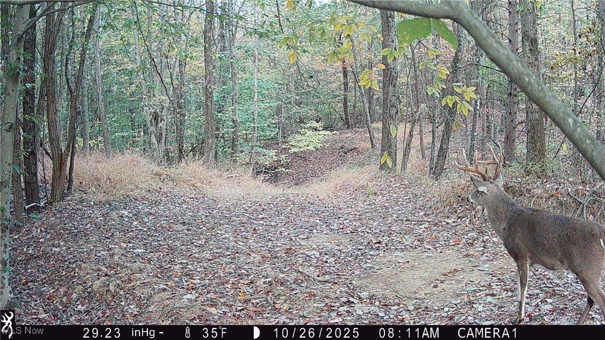 Perl Road Chandlersville OH 43727