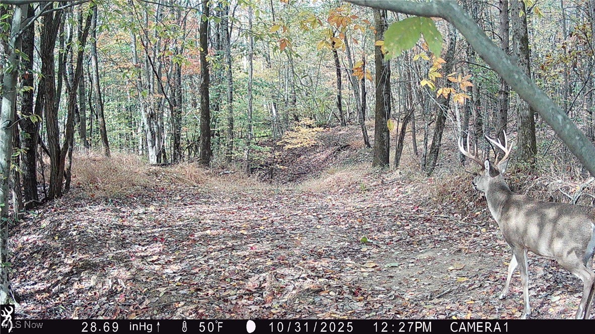 Perl Road Chandlersville OH 43727