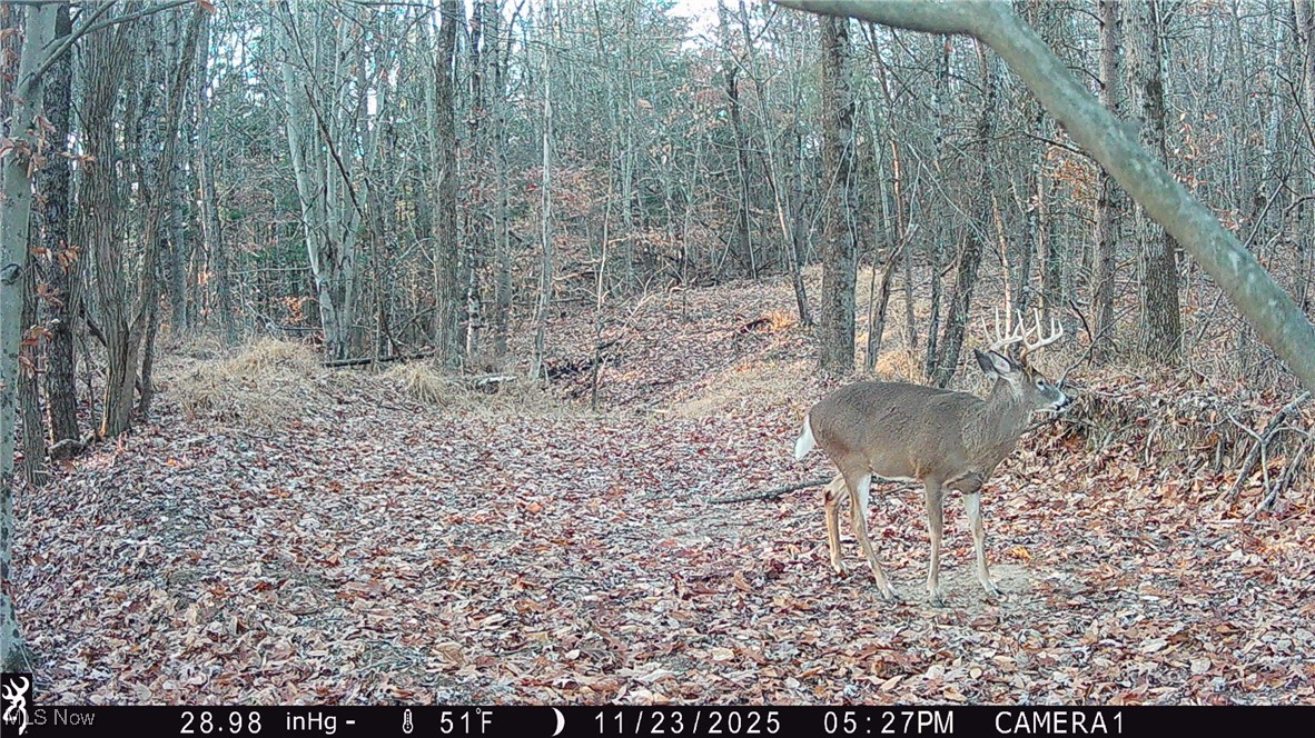 Perl Road Chandlersville OH 43727