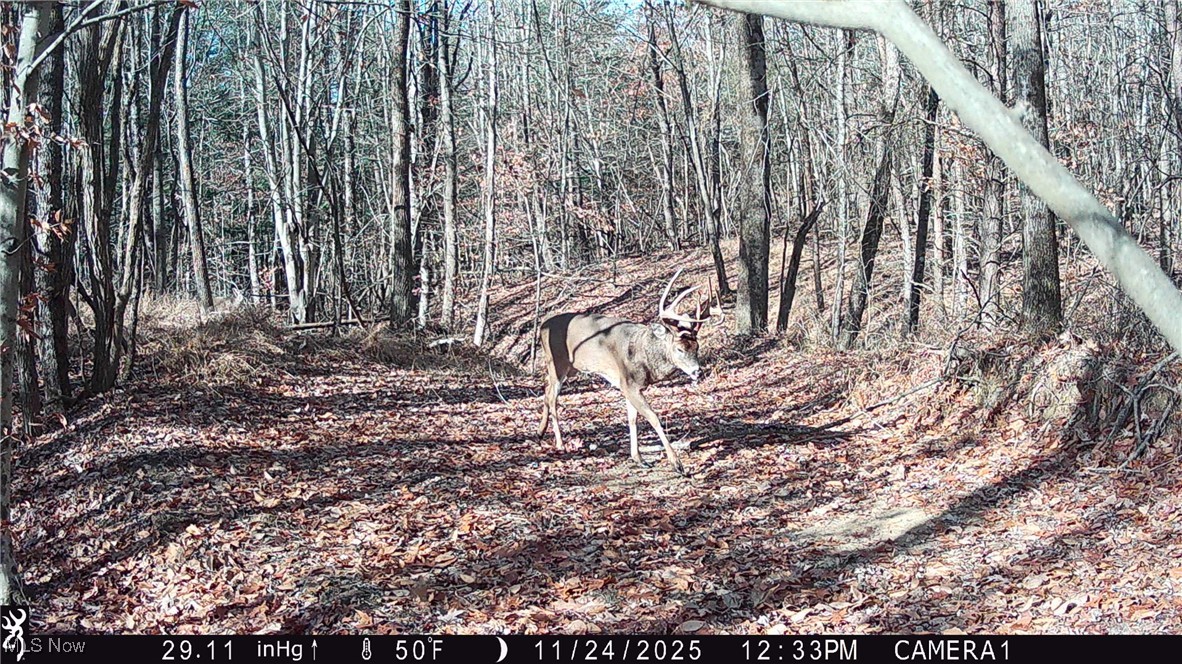 Perl Road Chandlersville OH 43727