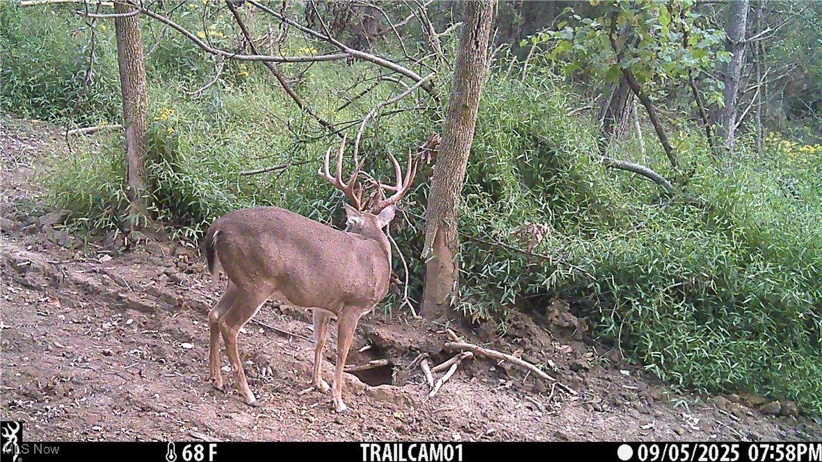 Perl Road Chandlersville OH 43727