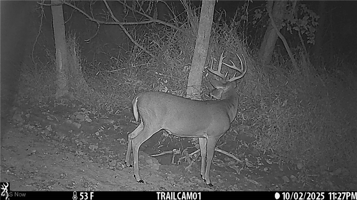 Perl Road Chandlersville OH 43727