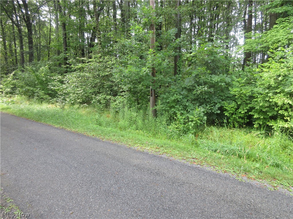 4TH Avenue Andover OH 44003