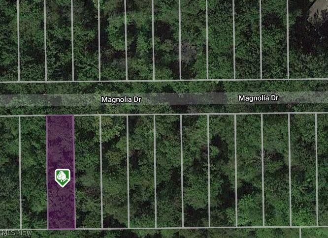 V/l Magnolia #20 Drive Madison OH 44057