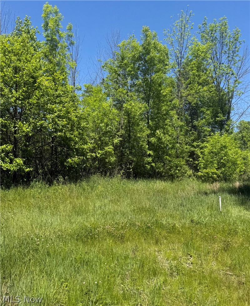 Thornberry Drive North Lima OH 44452