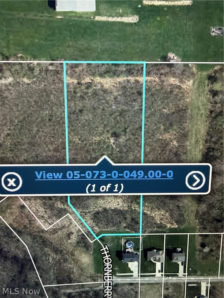 Thornberry Drive North Lima OH 44452
