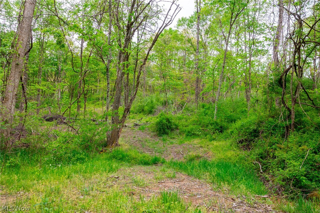 37795 Sheep Skin Ridge Lower Salem OH 45745