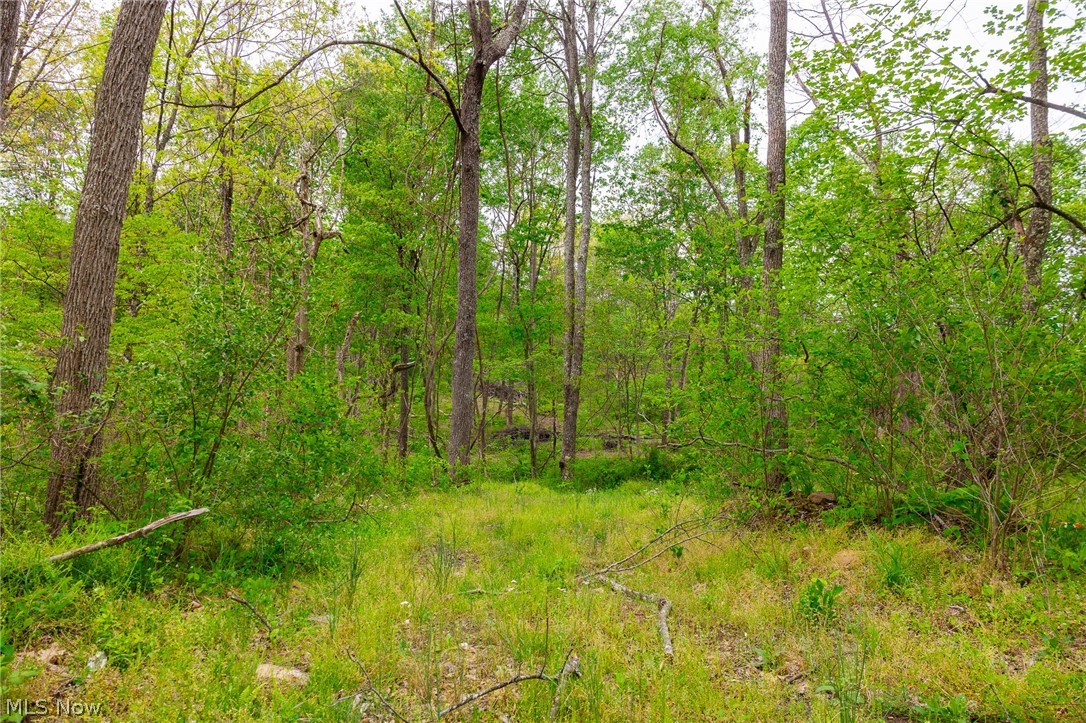37795 Sheep Skin Ridge Lower Salem OH 45745