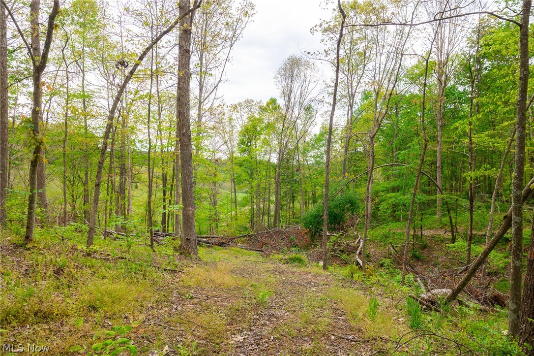37795 Sheep Skin Ridge Lower Salem OH 45745