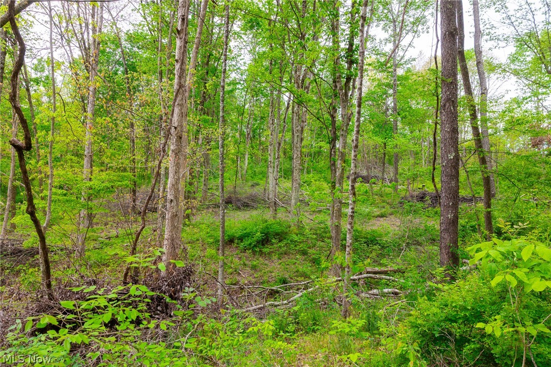 37795 Sheep Skin Ridge Lower Salem OH 45745