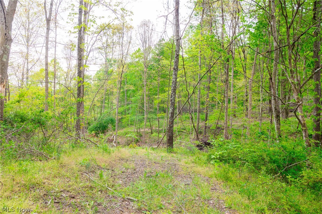 37795 Sheep Skin Ridge Lower Salem OH 45745