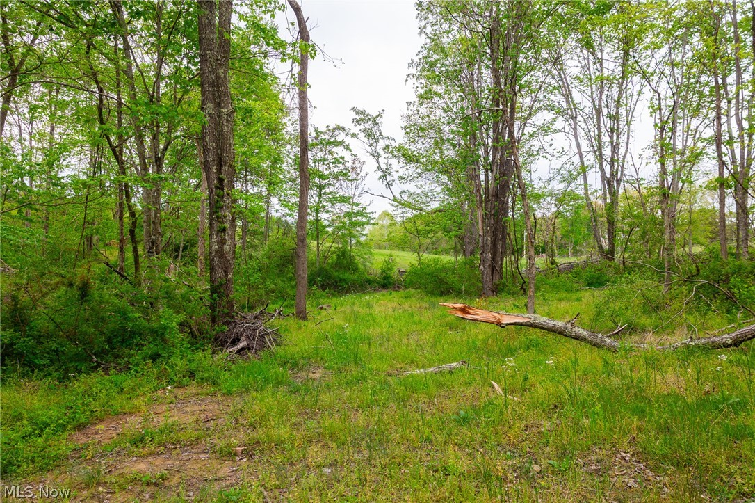 37795 Sheep Skin Ridge Lower Salem OH 45745