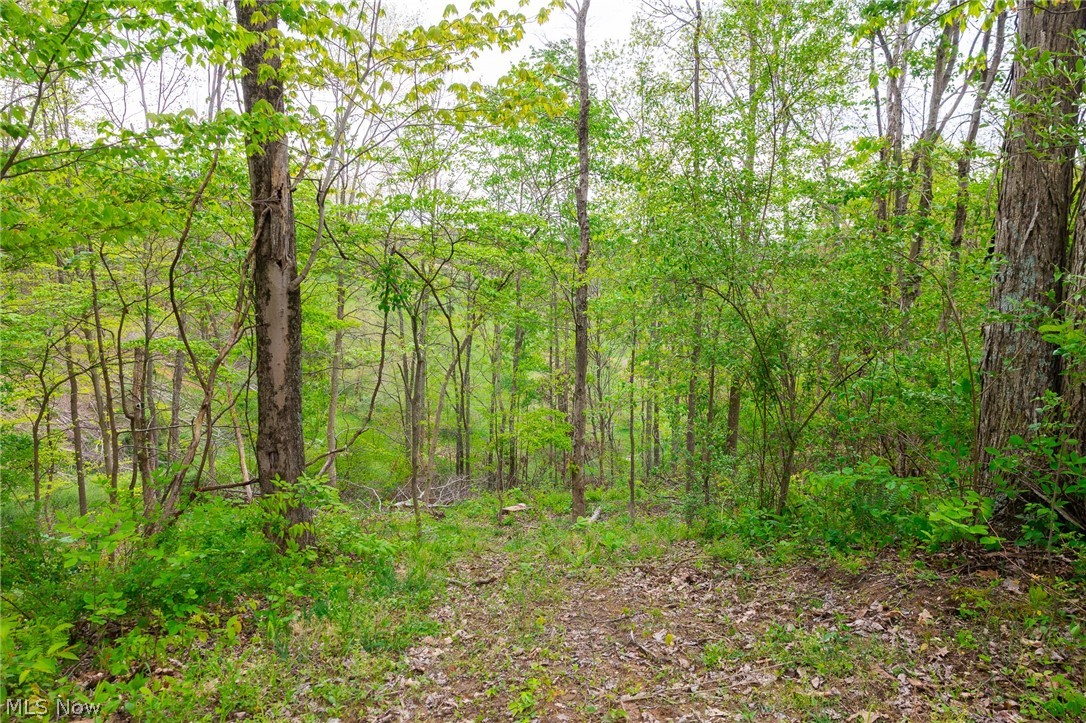 37795 Sheep Skin Ridge Lower Salem OH 45745