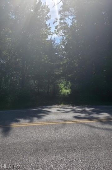 6521 Vrooman Road Painesville OH 44077