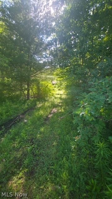 6521 Vrooman Road Painesville OH 44077