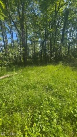6521 Vrooman Road Painesville OH 44077