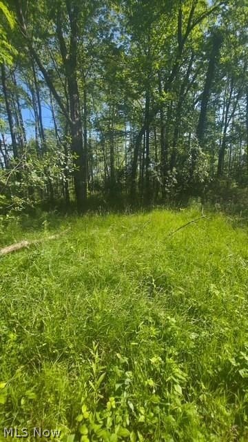 6521 Vrooman Road Painesville OH 44077