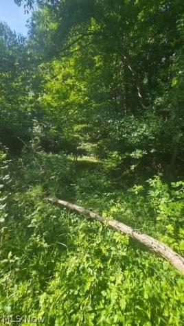 6521 Vrooman Road Painesville OH 44077