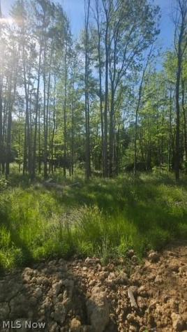 6521 Vrooman Road Painesville OH 44077