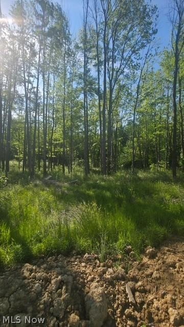 6521 Vrooman Road Painesville OH 44077
