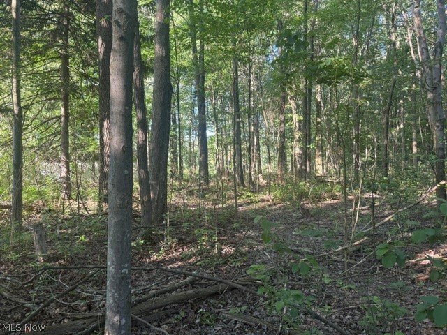 6521 Vrooman Road Painesville OH 44077