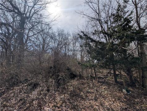 Ville North Ridge Road Lorain OH 44053