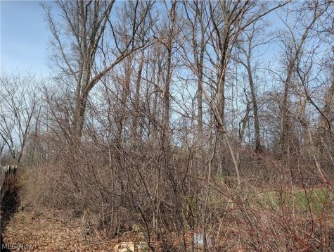 Ville North Ridge Road Lorain OH 44053