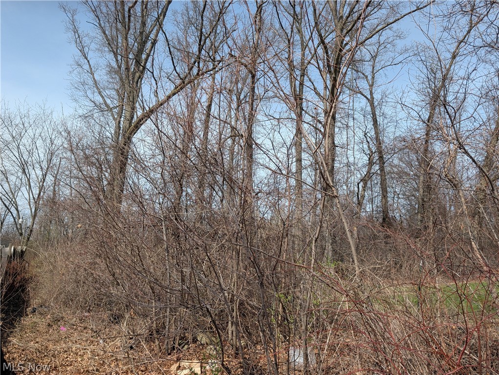 Ville North Ridge Road Lorain OH 44053