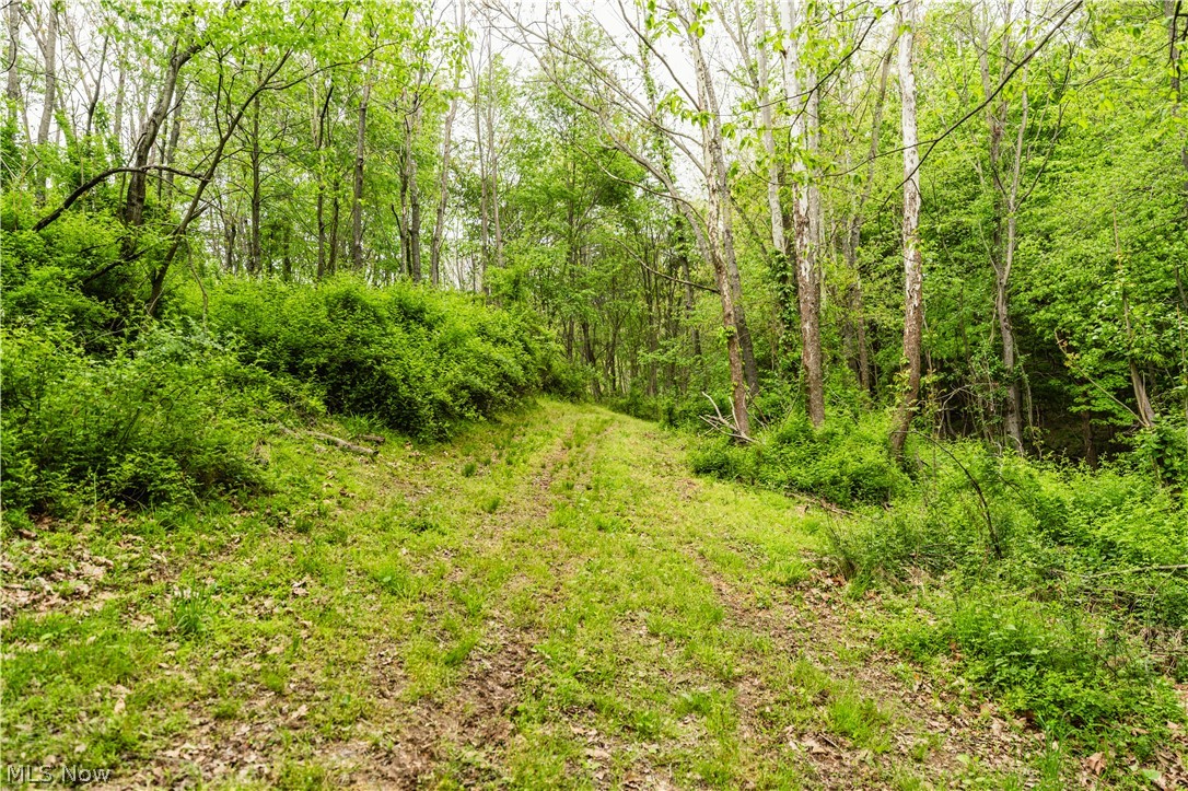 Trail 240 Fresno OH 43824