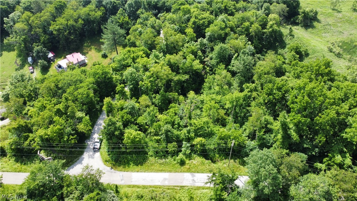 Township Road 135 Dillonvale OH 43917