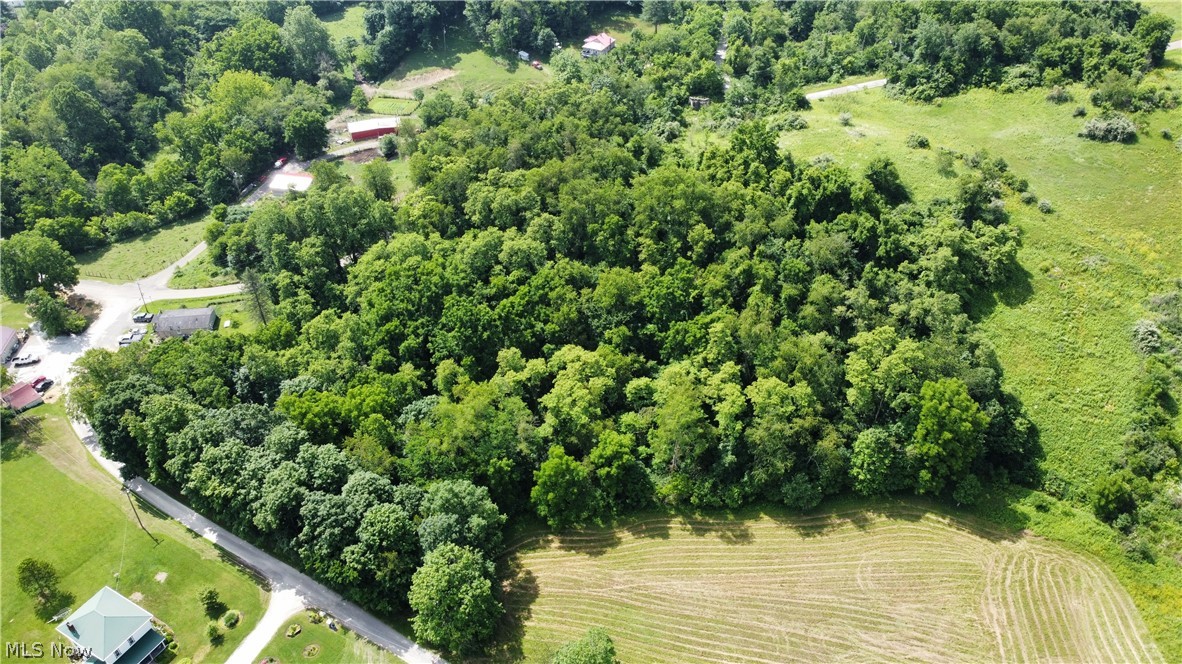 Township Road 135 Dillonvale OH 43917