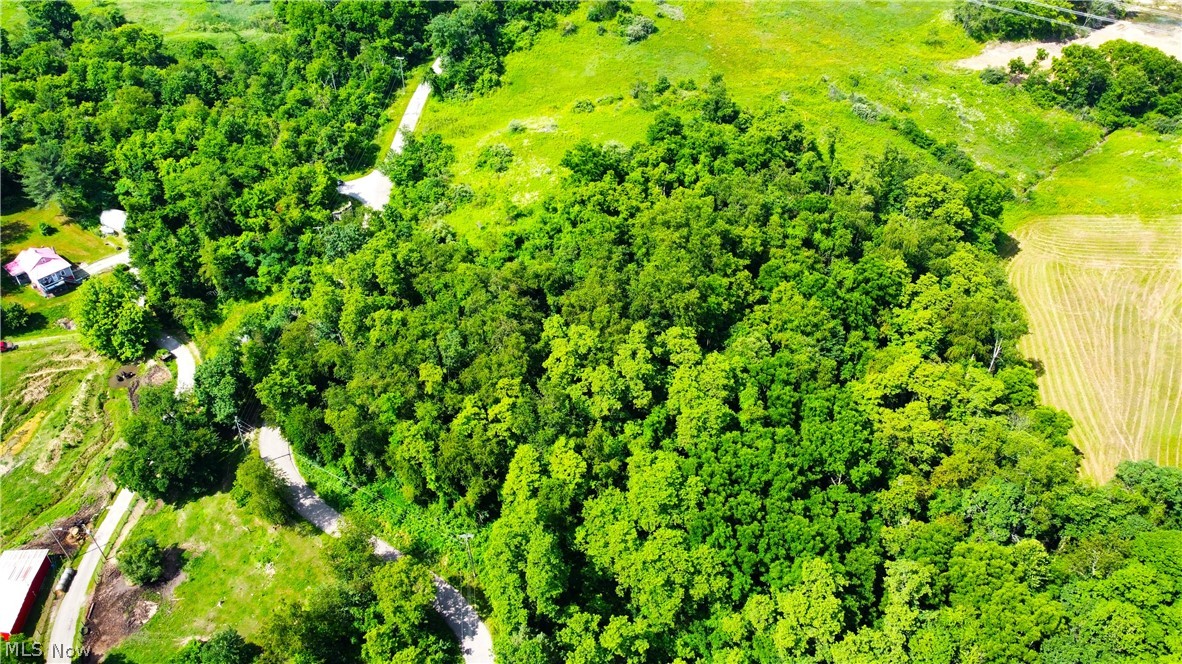 Township Road 135 Dillonvale OH 43917