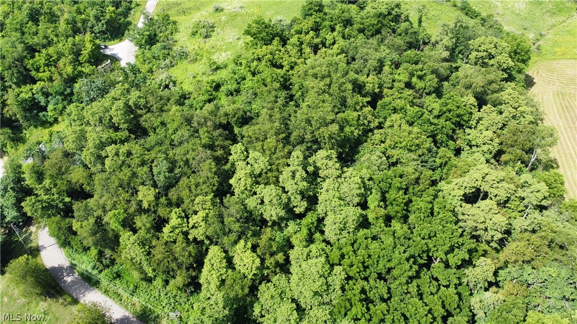 Township Road 135 Dillonvale OH 43917